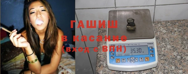 сатива Инсар
