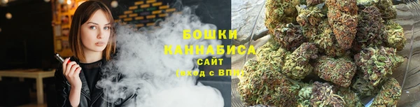 сатива Инсар