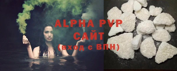 сатива Инсар