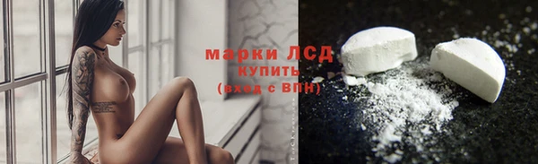сатива Инсар