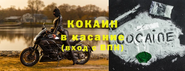 сатива Инсар