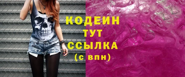 сатива Инсар