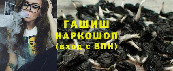 сатива Инсар