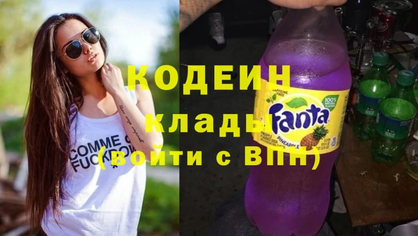 сатива Инсар