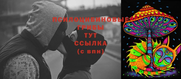 сатива Инсар