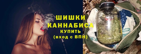 сатива Инсар