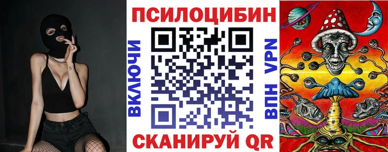 где найти наркотики  Ногинск  Псилоцибиновые грибы GOLDEN TEACHER 