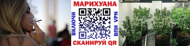 Каннабис конопля Ногинск